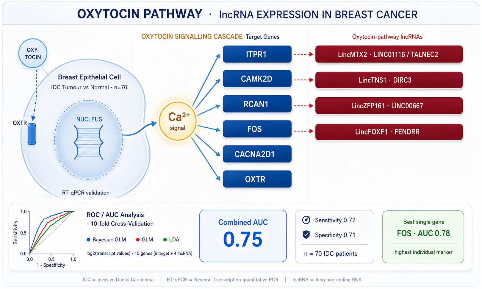 Oxytocin signalling pathway lncRNA expression — breast cancer study diagram